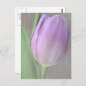 Jolie carte postale Lavender Tulip (Devant / Derrière)