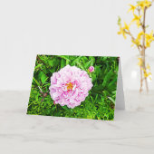 Jolie carte vierge aux pivoines roses (Fleur jaune)