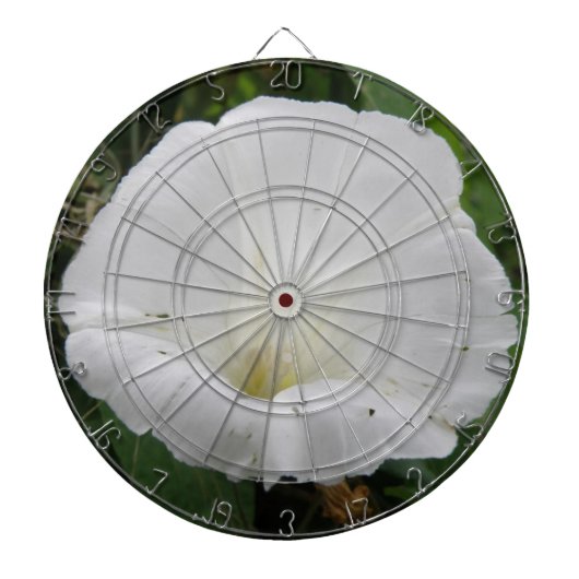 Jolie Cible de flechettes de fleurs Convolvulus Bl (Devant)