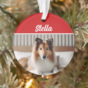 Jolie Collie Chien Fête de Noël Photo