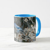 Jolie Coupe Blue Jay Bird Mug (Devant droit)