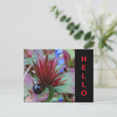 Jolie croûte de Ladybug. Carte postale HELLO Texte (Debout devant)