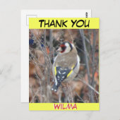 Jolie croûte Goldfinch. Carte postale MERCI texte (Devant / Derrière)