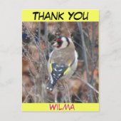 Jolie croûte Goldfinch. Carte postale MERCI texte (Devant)