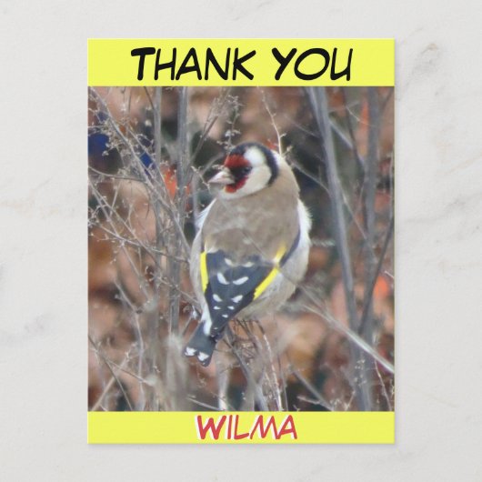 Jolie croûte Goldfinch. Carte postale MERCI texte (Devant)
