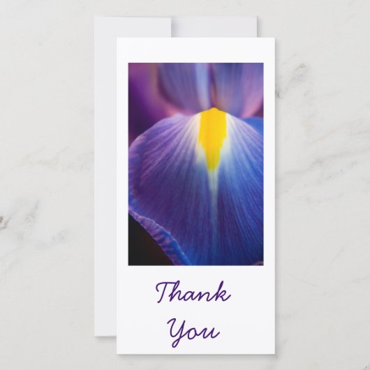 Jolie dans Purple Iris Merci Cartes (Devant)