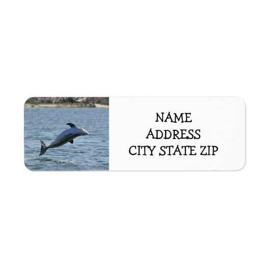 **JOLIE DOLPHIN** ÉTIQUETTES DE ADRESSE (Devant)