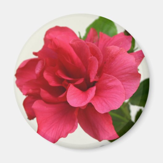 Jolie en rose - Aimant (Devant)