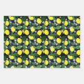 Jolie feuille de papier d'enveloppement de pack de (Devant 2)