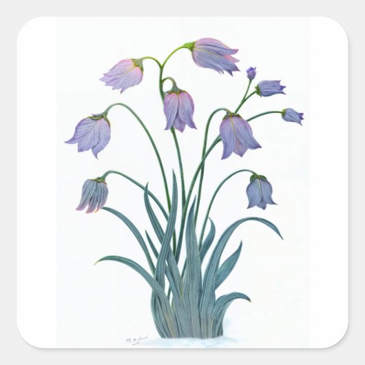 JOLIE FLEURS SUR CARRÉ STICKER (Devant)