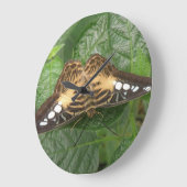 Jolie horloge de papillon Tropical Clipper (Angle)