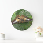 Jolie horloge de papillon Tropical Clipper (Maison)