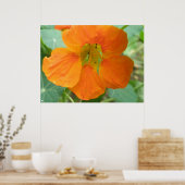 Jolie impression de fleurs de Nasturtium orange (Cuisine)