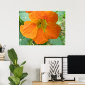 Jolie impression de fleurs de Nasturtium orange (Bureau à domicile)