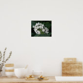 Jolie impression de fleurs tropicales blanches (Cuisine)