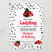 Jolie invitation d'anniversaire à la fête de cocci (Devant / Derrière)