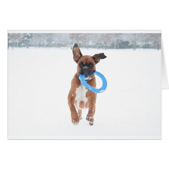 Jolie jouant le frizbee dans la neige (Devant horizontal)