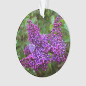 Jolie Lilacs violets (devant)