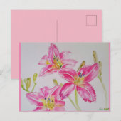 Jolie Lily en peinture aquarelle rose carte postal (Devant / Derrière)