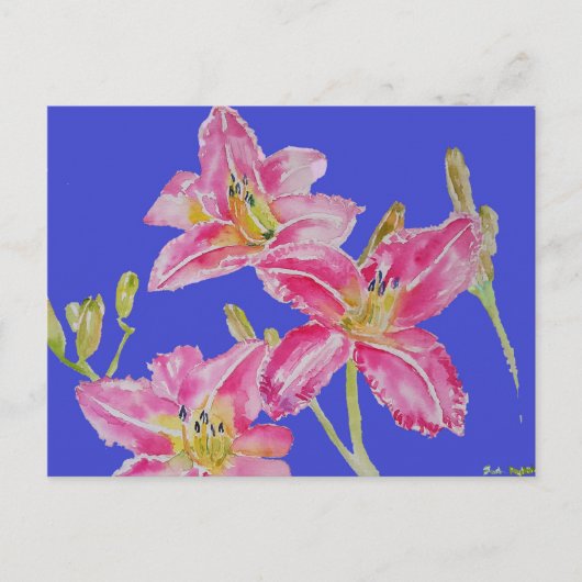 Jolie Lily en peinture aquarelle rose carte postal (Devant)