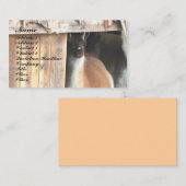 Jolie Llama Carte de visite animal de ferme (Devant / Derrière)