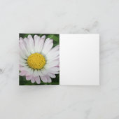 Jolie marguerite (Intérieur)