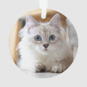 Jolie photo de Noël de chat (dos)