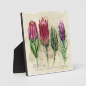 Jolie plaque de Protea (Recto)