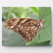 Jolie plaque papillon Brown (Devant)