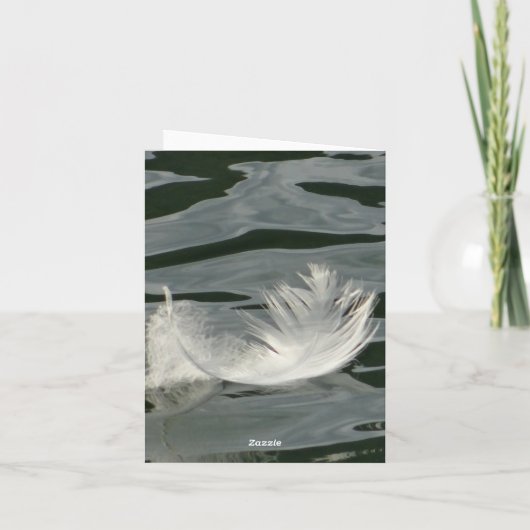 Jolie plume blanche (Dos)