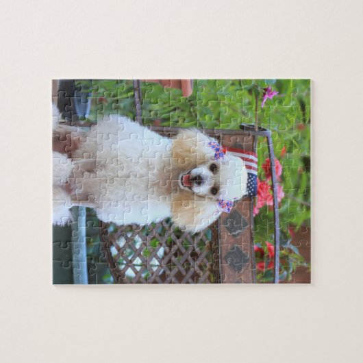 Jolie Poodle Chien Jigsaw puzzle (Horizontal)