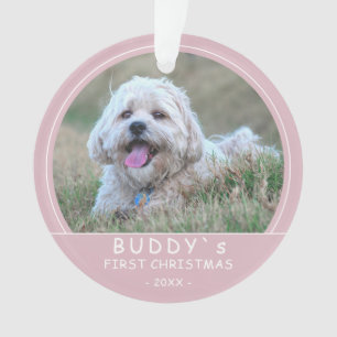 Jolie première Noël Chien rose Mignon Chien Photo