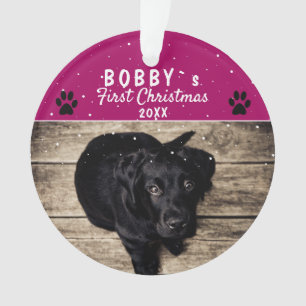 Jolie première photo de chiot de Noël patte violet