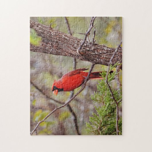 Jolie Red Cardinal Bird Nature Puzzle (Vertical)