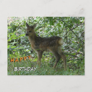 Jolie Roe Deer à Forrest Cust. Carte postale Anniv