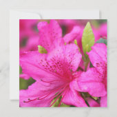 Jolie rose azalea fleurs invitations mariage (Dos)
