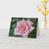 Jolie rose rose Écriture Carte Hébreux 10:23 (Fleur jaune)