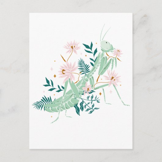 JOLIE SAUTERELLE BRIEFKAART (Voorkant)