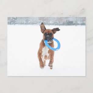 Jolie speelt frizbee in de sneeuw briefkaart