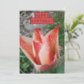 Jolie Tulip Floral Carte d'anniversaire (Debout devant)