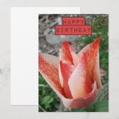 Jolie Tulip Floral Carte d'anniversaire (Devant / Derrière)