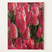 Jolie tulipe rose (Dos)