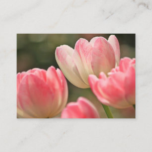 jolie tulipe rose carte de visite