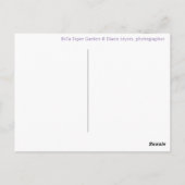 Jolie Tulipes Printemps Orange Purple Carte Postal (Dos)