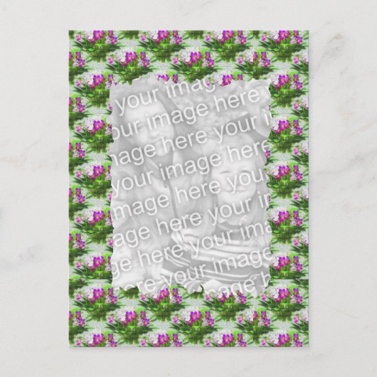 Jolie Violets Floral Photo Carte postale (Devant)