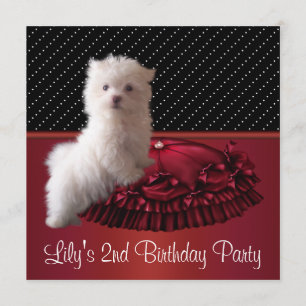 Jolie White Chiot Anniversaire Invitations