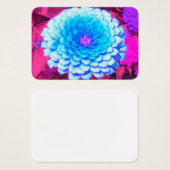 Jolie Zinnia Bleue dans le Jardin d'été pourpre (Devant & derrière)