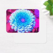 Jolie Zinnia Bleue dans le Jardin d'été pourpre (Bureau)