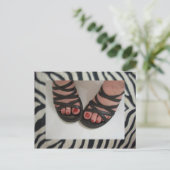 Jolies cartes postales Zebra (Debout devant)