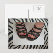 Jolies cartes postales Zebra (Devant / Derrière)